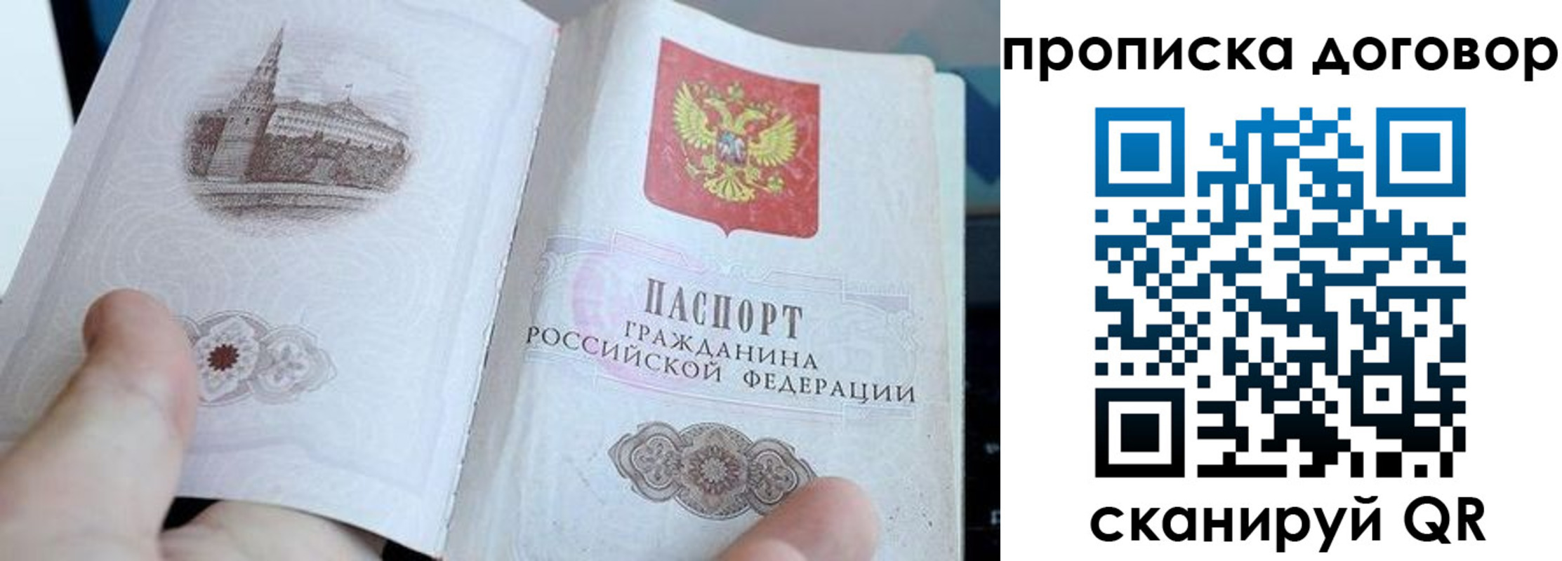 прописка законно в Жердевке